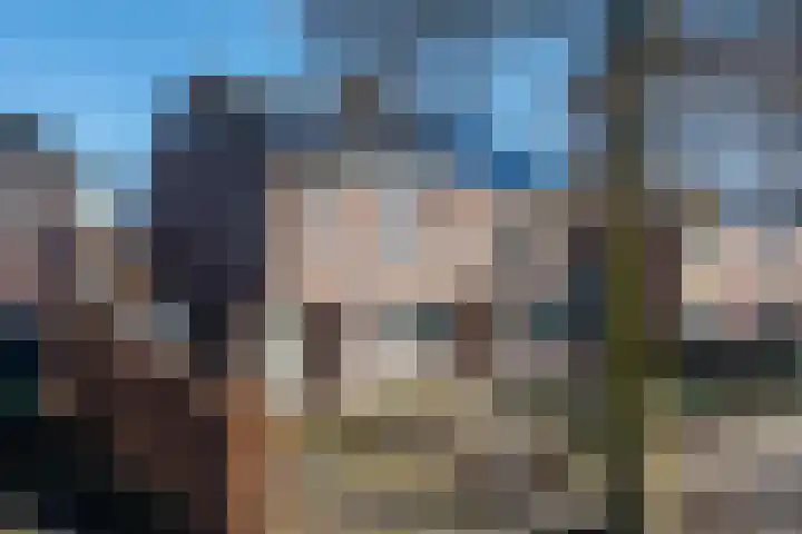 Haverstraat 61 in Halle