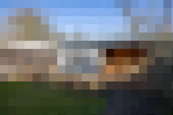 Haverstraat 61 Halle thumbnail 15