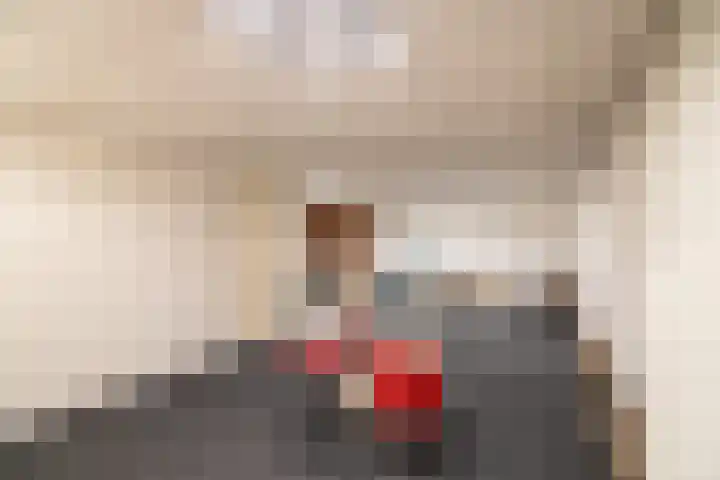 Haverstraat 61 Halle thumbnail 29