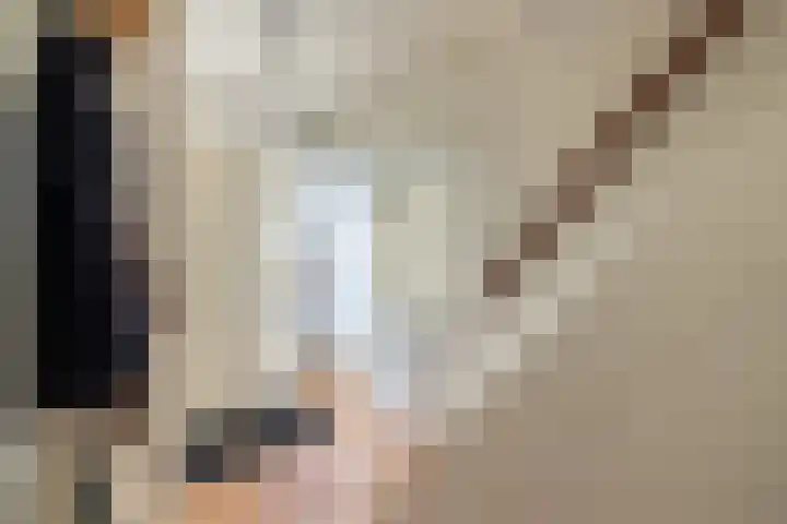 Haverstraat 61 Halle thumbnail 31