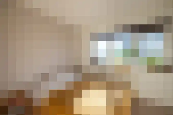 Haverstraat 61 Halle thumbnail 38