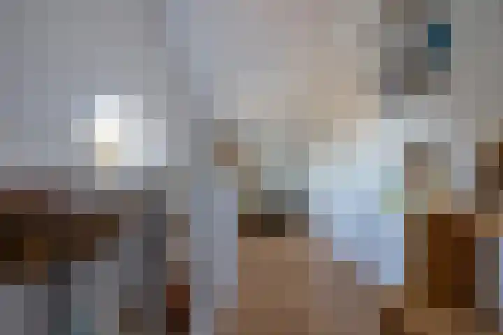 Haverstraat 61 Halle thumbnail 47