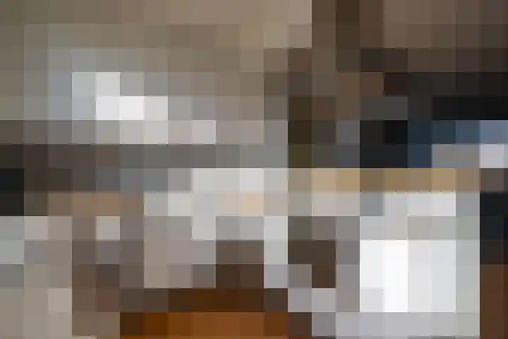 Haverstraat 61 Halle thumbnail 9