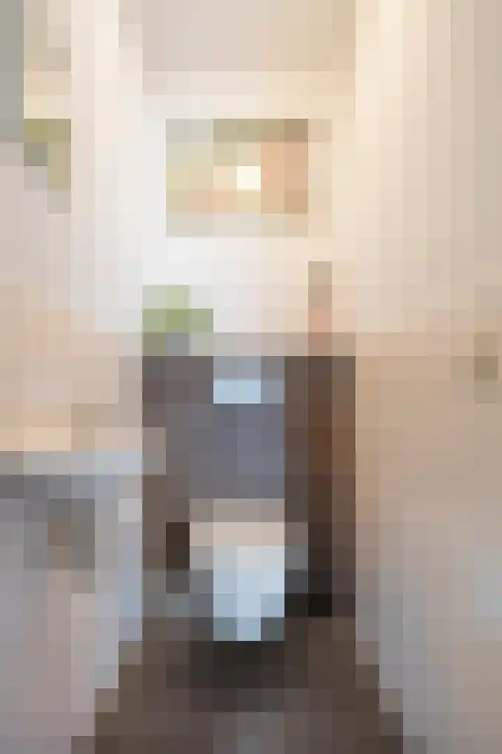 Haverstreng 11 Nieuw Heeten thumbnail 10