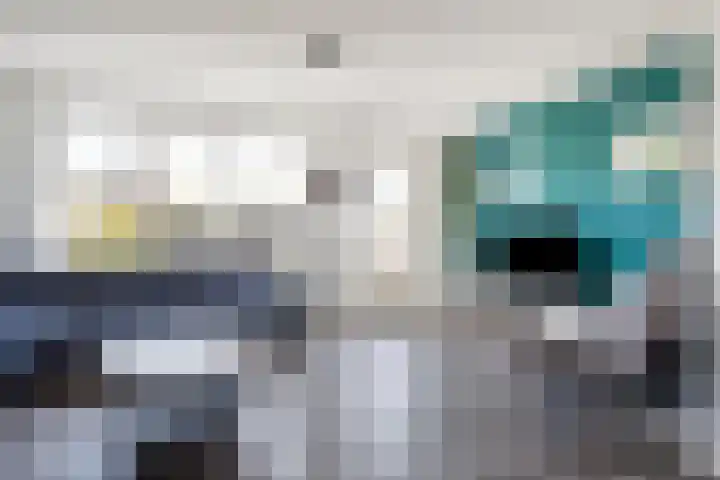 Haverstreng 11 Nieuw Heeten thumbnail 12