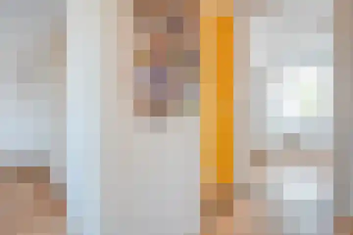 Haverstreng 11 Nieuw Heeten thumbnail 22