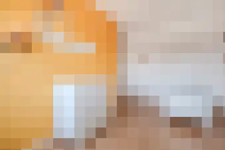 Haverstreng 11 Nieuw Heeten thumbnail 26
