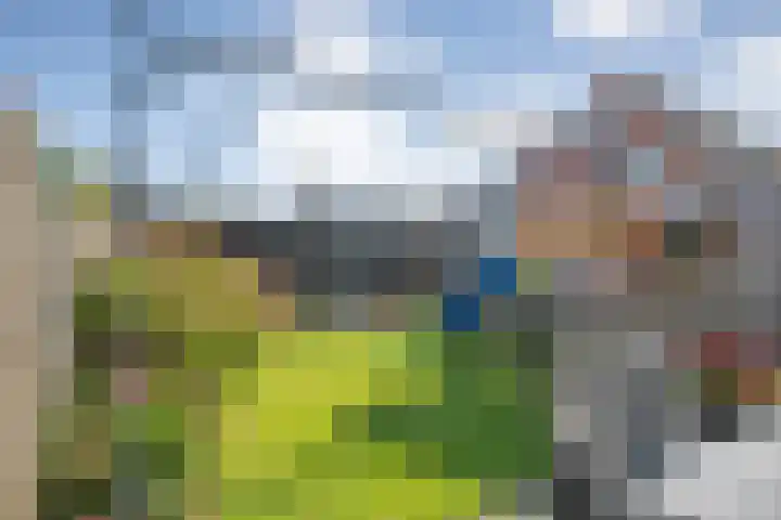 Haverstreng 11 Nieuw Heeten thumbnail 34