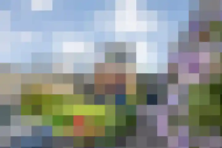 Haverstreng 11 Nieuw Heeten thumbnail 40