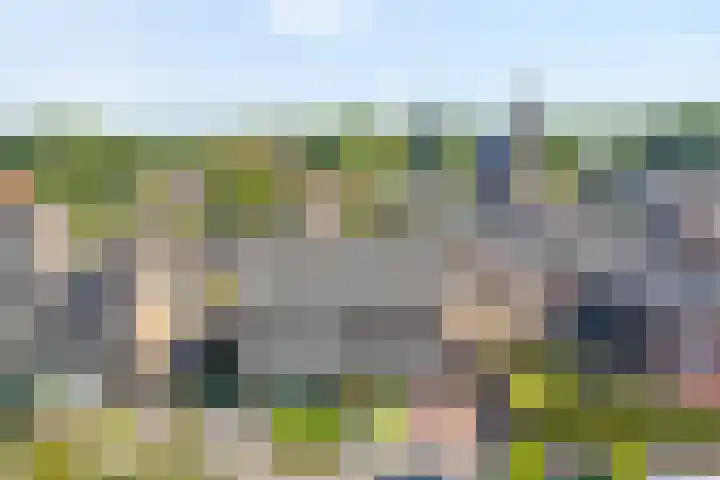 Haverstreng 11 Nieuw Heeten thumbnail 42