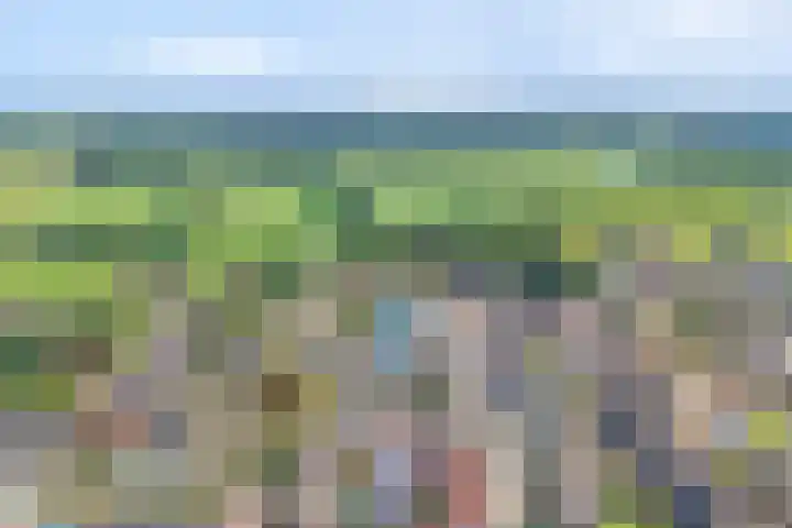 Haverstreng 11 Nieuw Heeten thumbnail 43