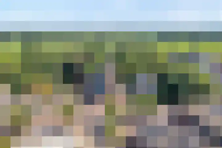 Haverstreng 11 Nieuw Heeten thumbnail 44