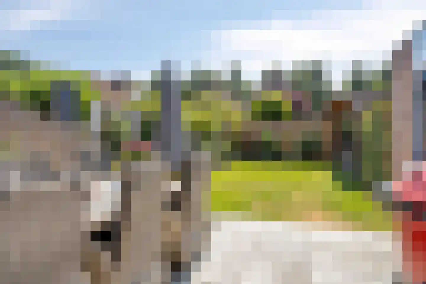 Haverstuk 17 Meppel thumbnail 20