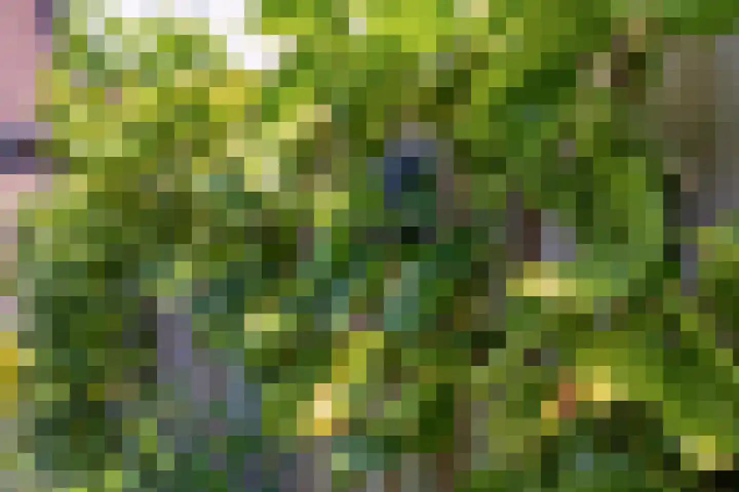 Haverstuk 17 Meppel thumbnail 27