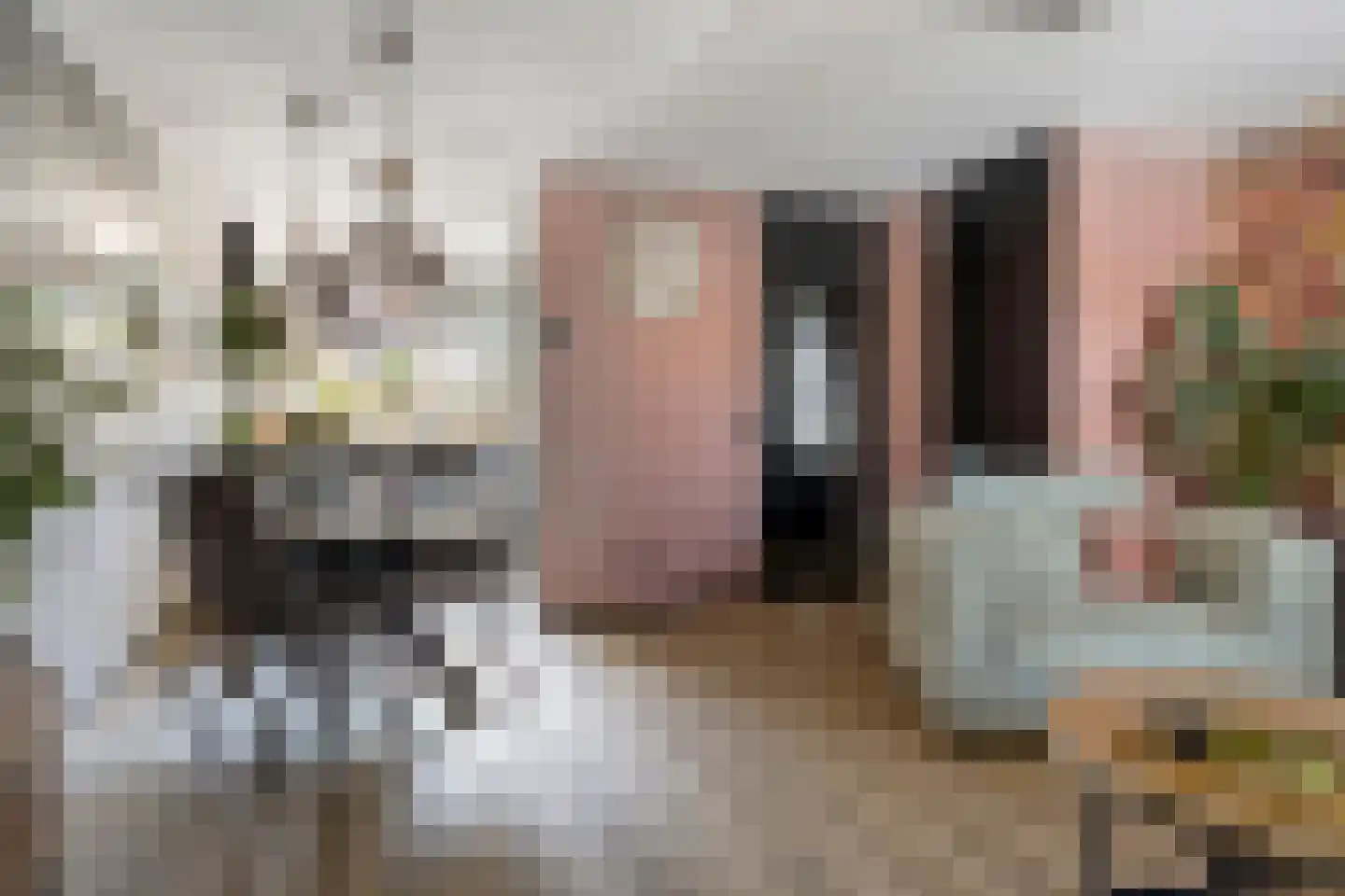 Haverstuk 17 Meppel thumbnail 5