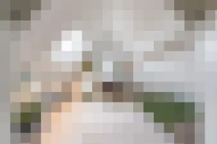 Haverstuk 27 Meppel thumbnail 23