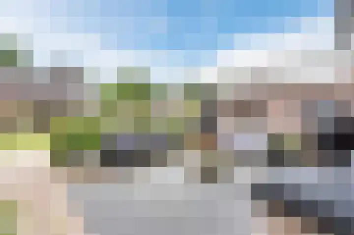 Haverstuk 27 Meppel thumbnail 25