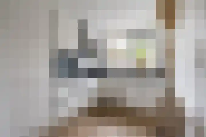 Haverstuk 27 Meppel thumbnail 7