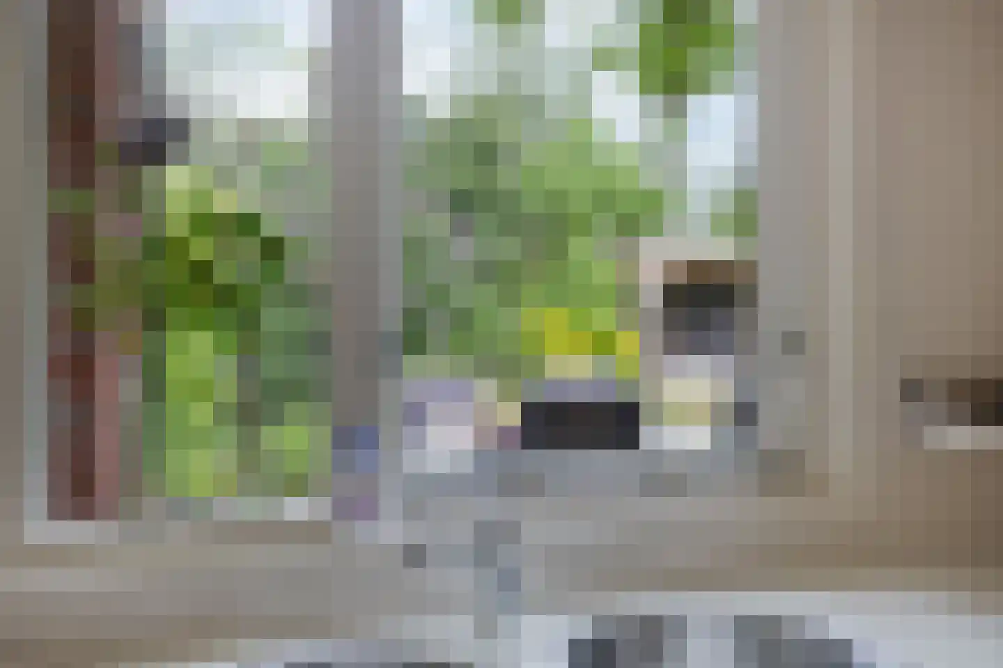 Haverstuk 28 Meppel thumbnail 20