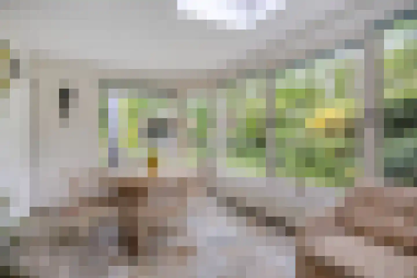 Haverstuk 28 Meppel thumbnail 23