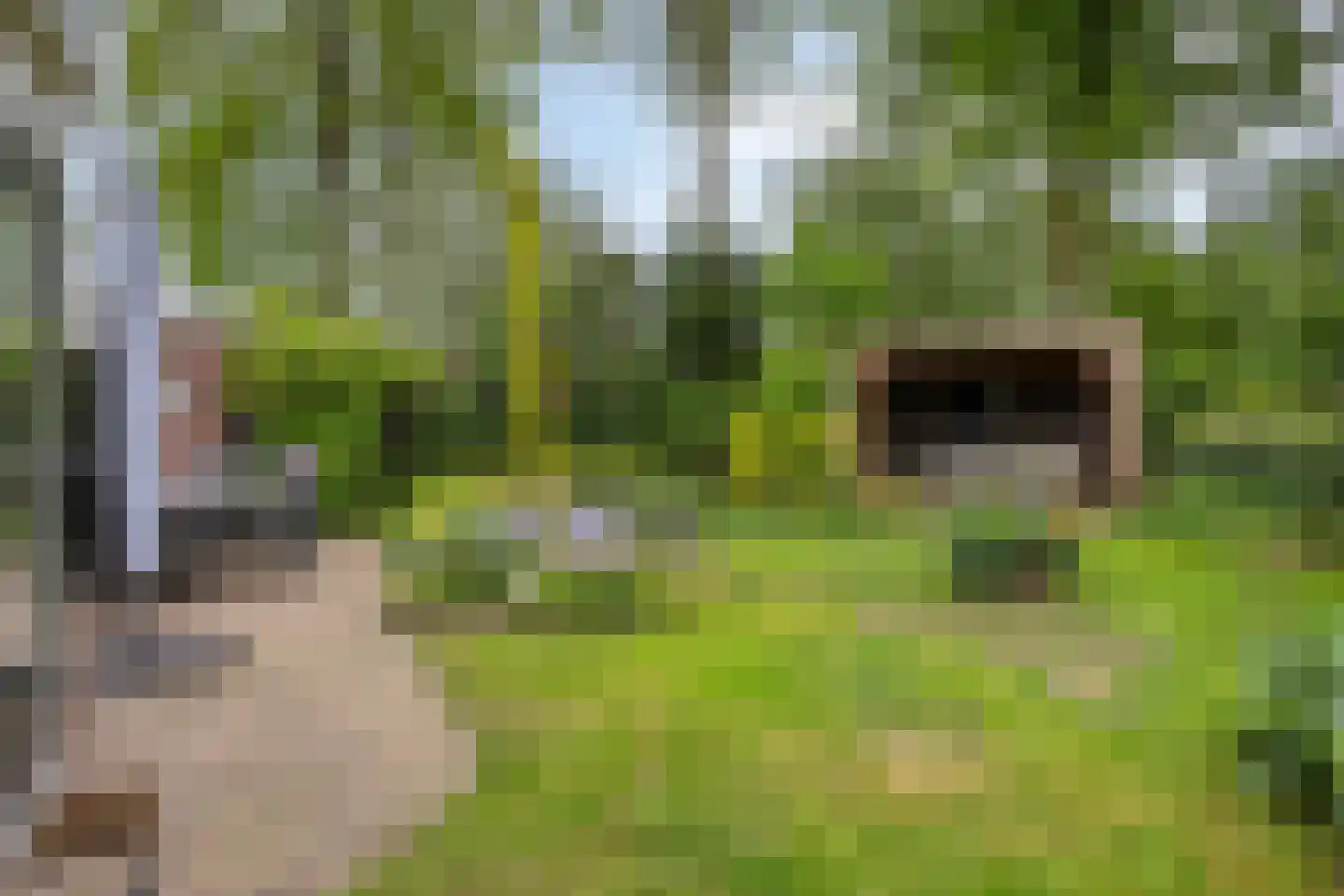 Haverstuk 28 Meppel thumbnail 47