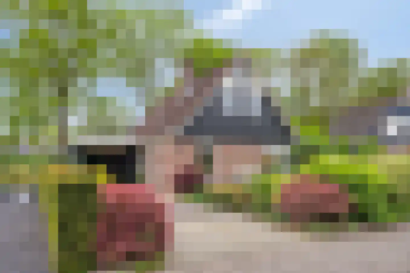 Haverstuk 28 Meppel thumbnail 6