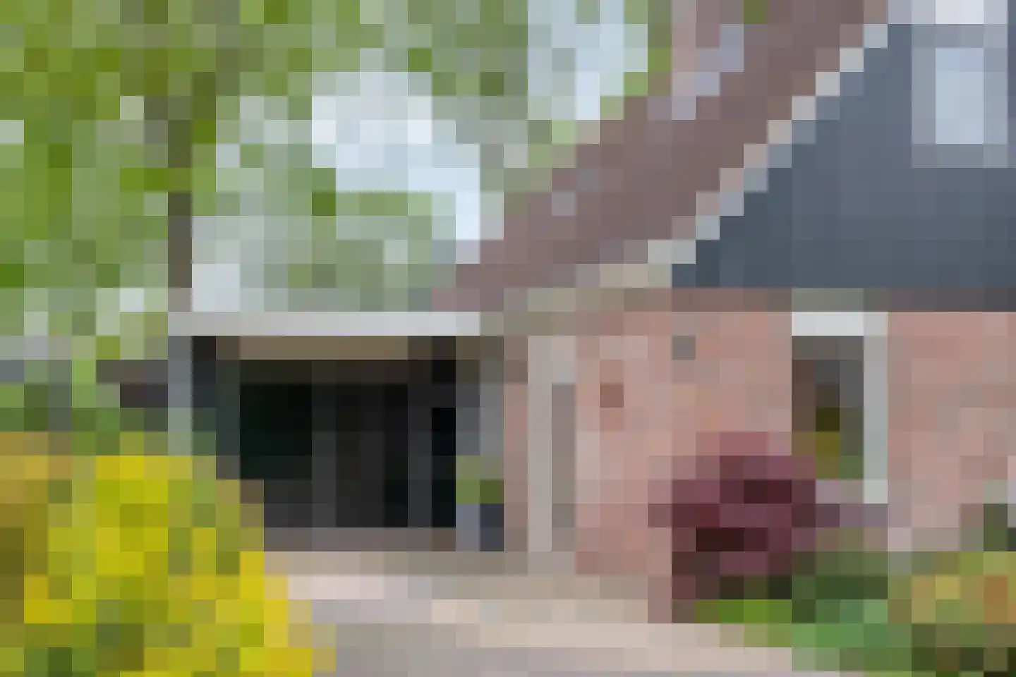Haverstuk 28 Meppel thumbnail 7