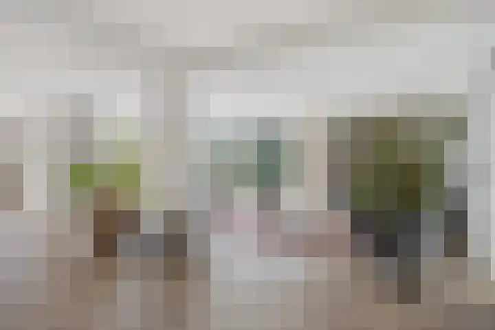 Haverstuk 30 Meppel thumbnail 11