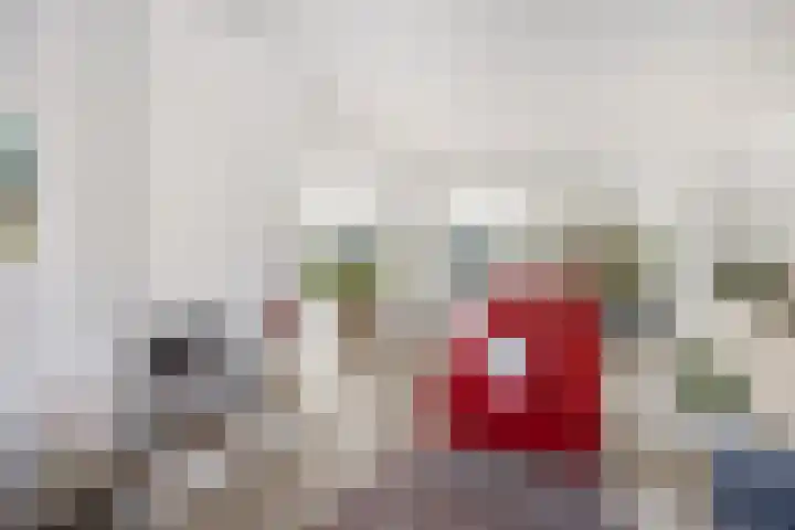 Haverstuk 30 Meppel thumbnail 16