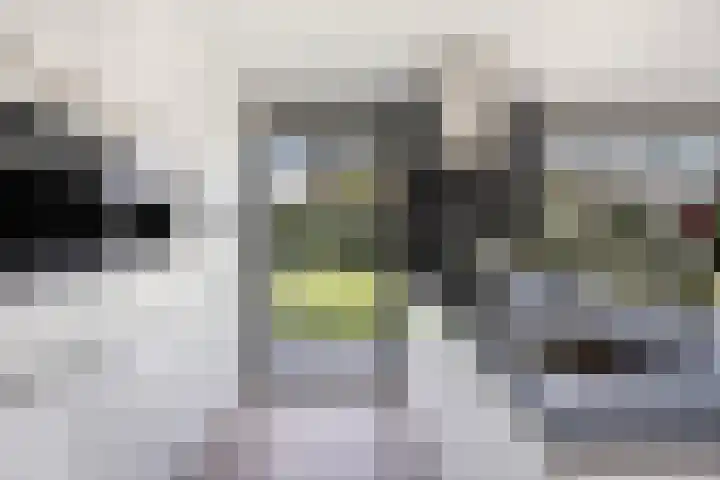 Haverstuk 30 Meppel thumbnail 20