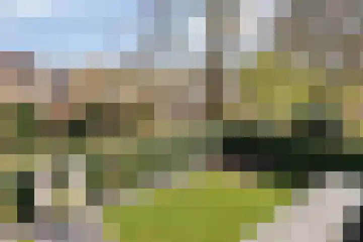 Haverstuk 30 Meppel thumbnail 31
