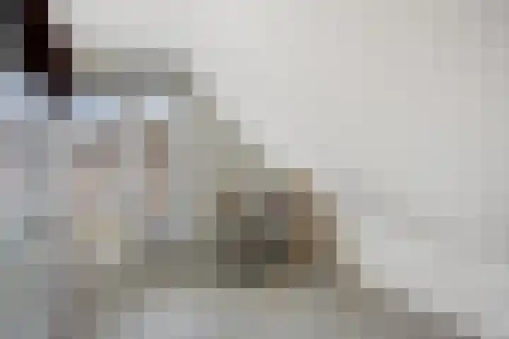Haverstuk 30 Meppel thumbnail 33