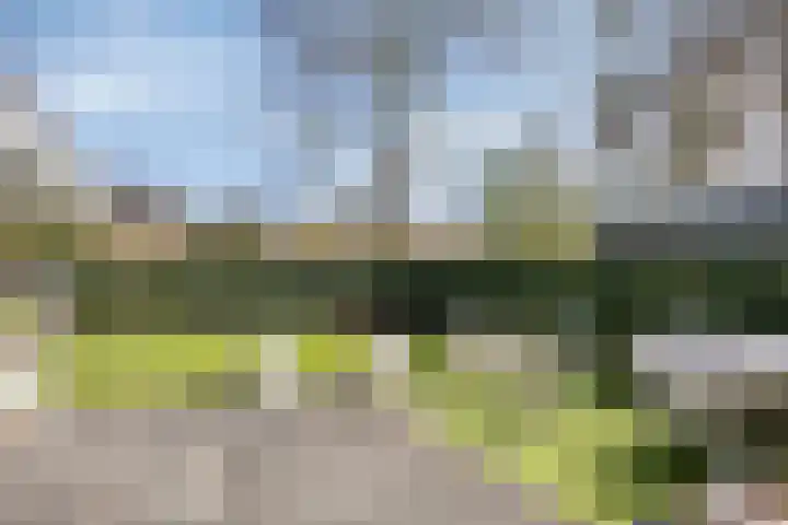 Haverstuk 30 Meppel thumbnail 37