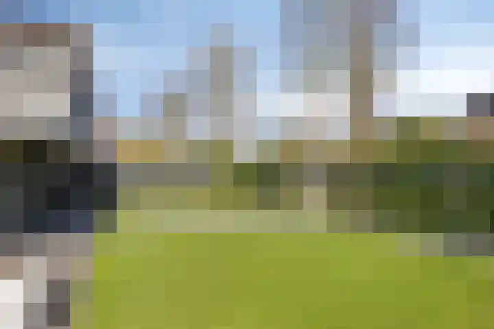 Haverstuk 30 Meppel thumbnail 38