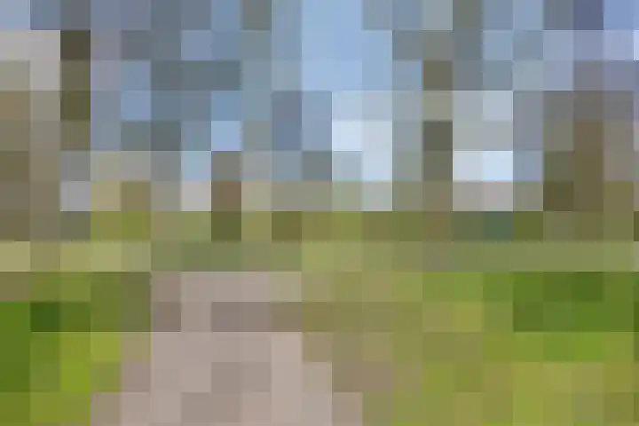 Haverstuk 30 Meppel thumbnail 46