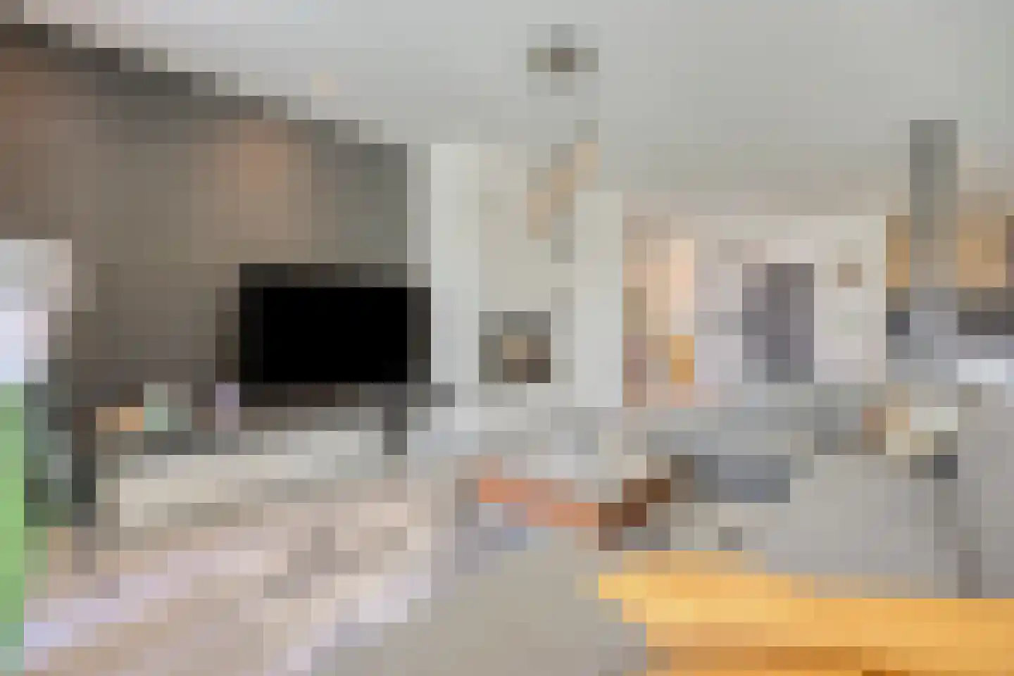 Havertergrensweg 1 a Koningsbosch thumbnail 14