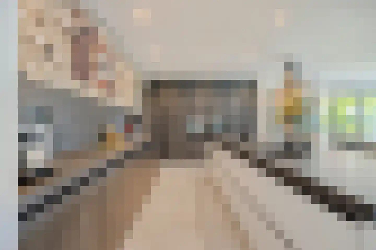 Havertergrensweg 1 a Koningsbosch thumbnail 17