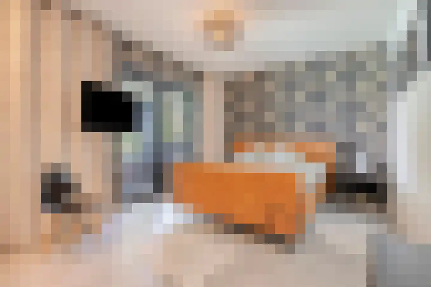 Havertergrensweg 1 a Koningsbosch thumbnail 22