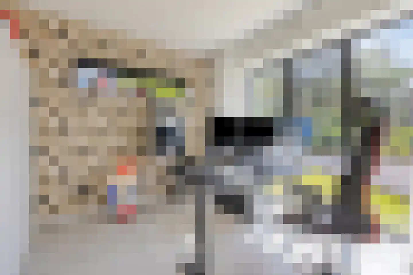 Havertergrensweg 1 a Koningsbosch thumbnail 29