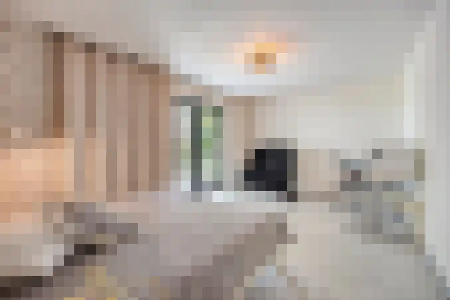 Havertergrensweg 1 a Koningsbosch thumbnail 34