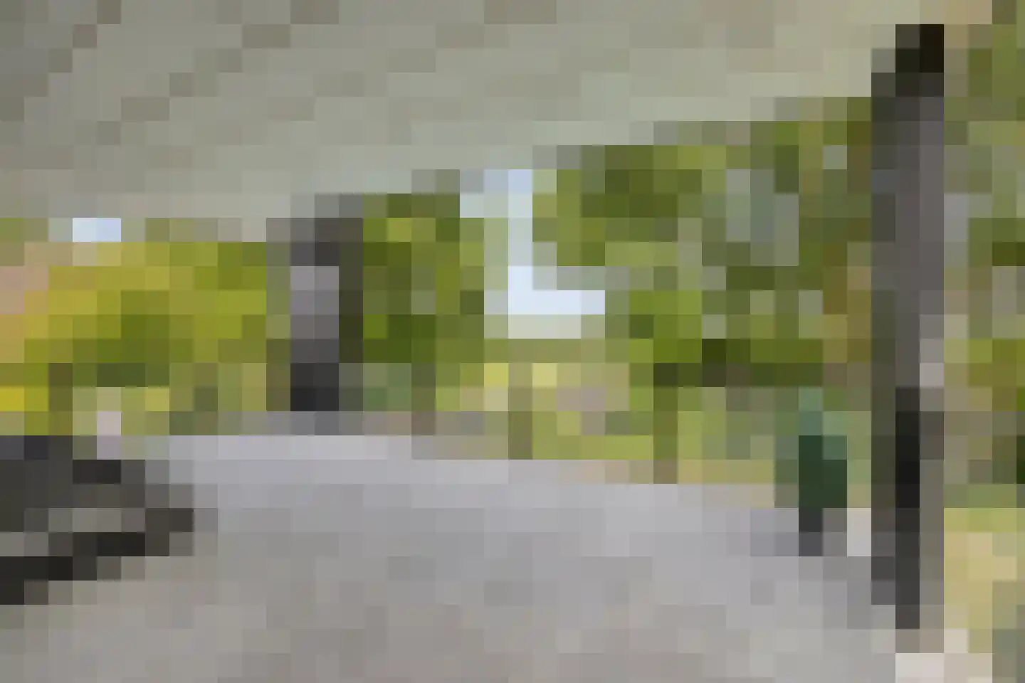 Havertergrensweg 1 a Koningsbosch thumbnail 36