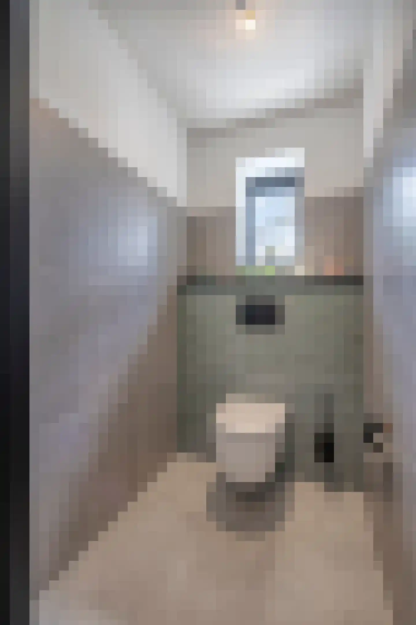 Havertergrensweg 1 a Koningsbosch thumbnail 43