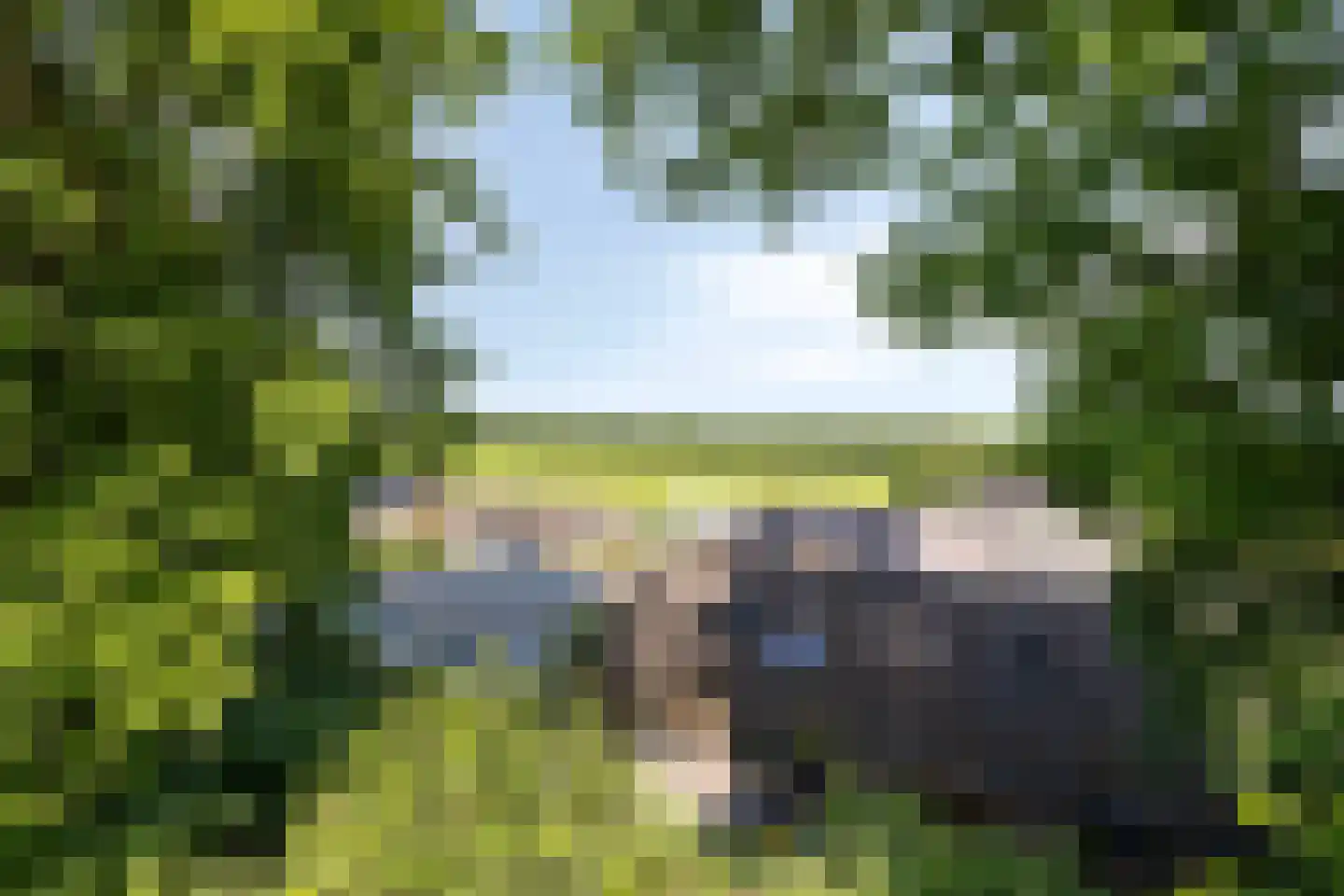 Havertergrensweg 1 a Koningsbosch thumbnail 57