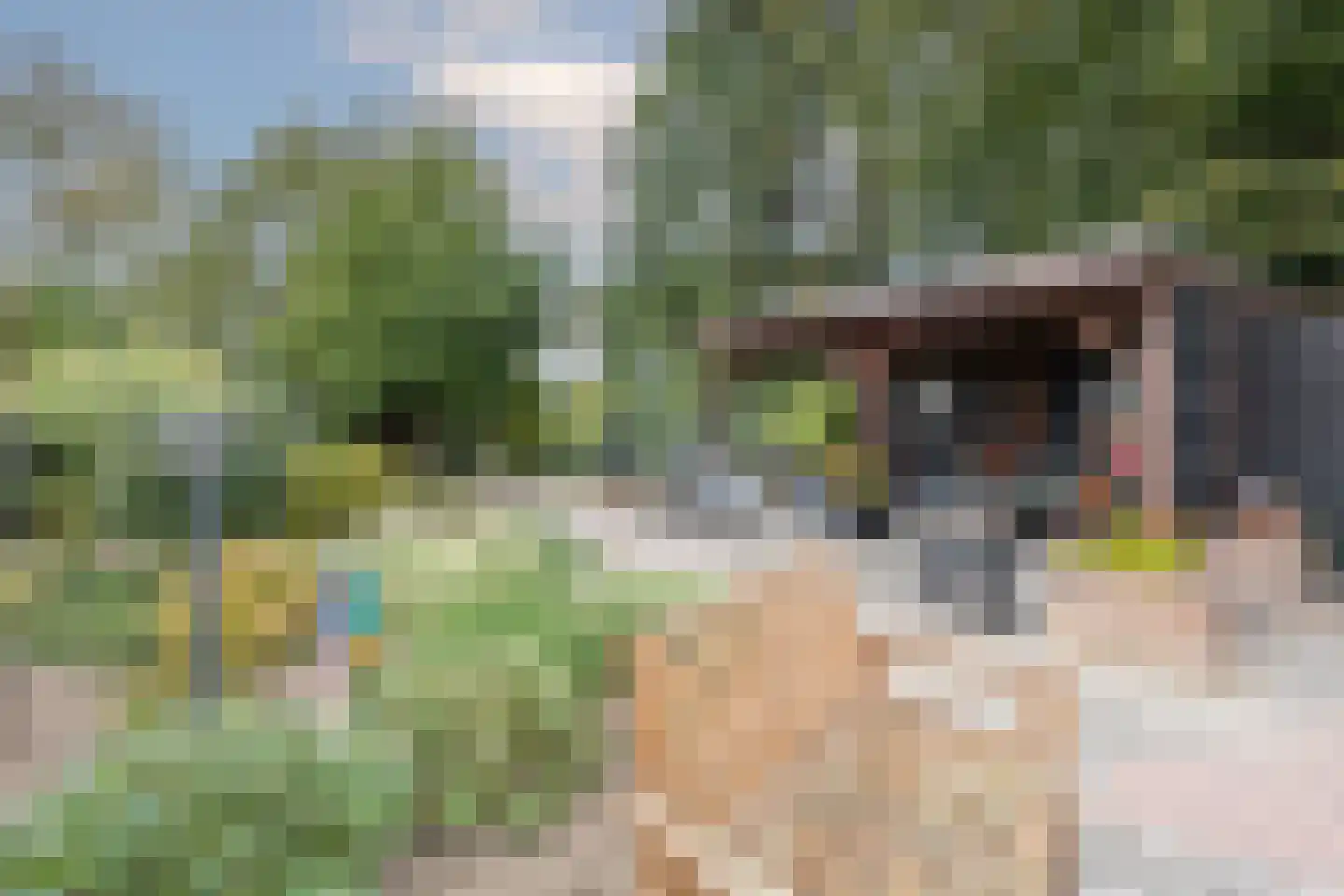 Haverterstraat 14 Koningsbosch thumbnail 36