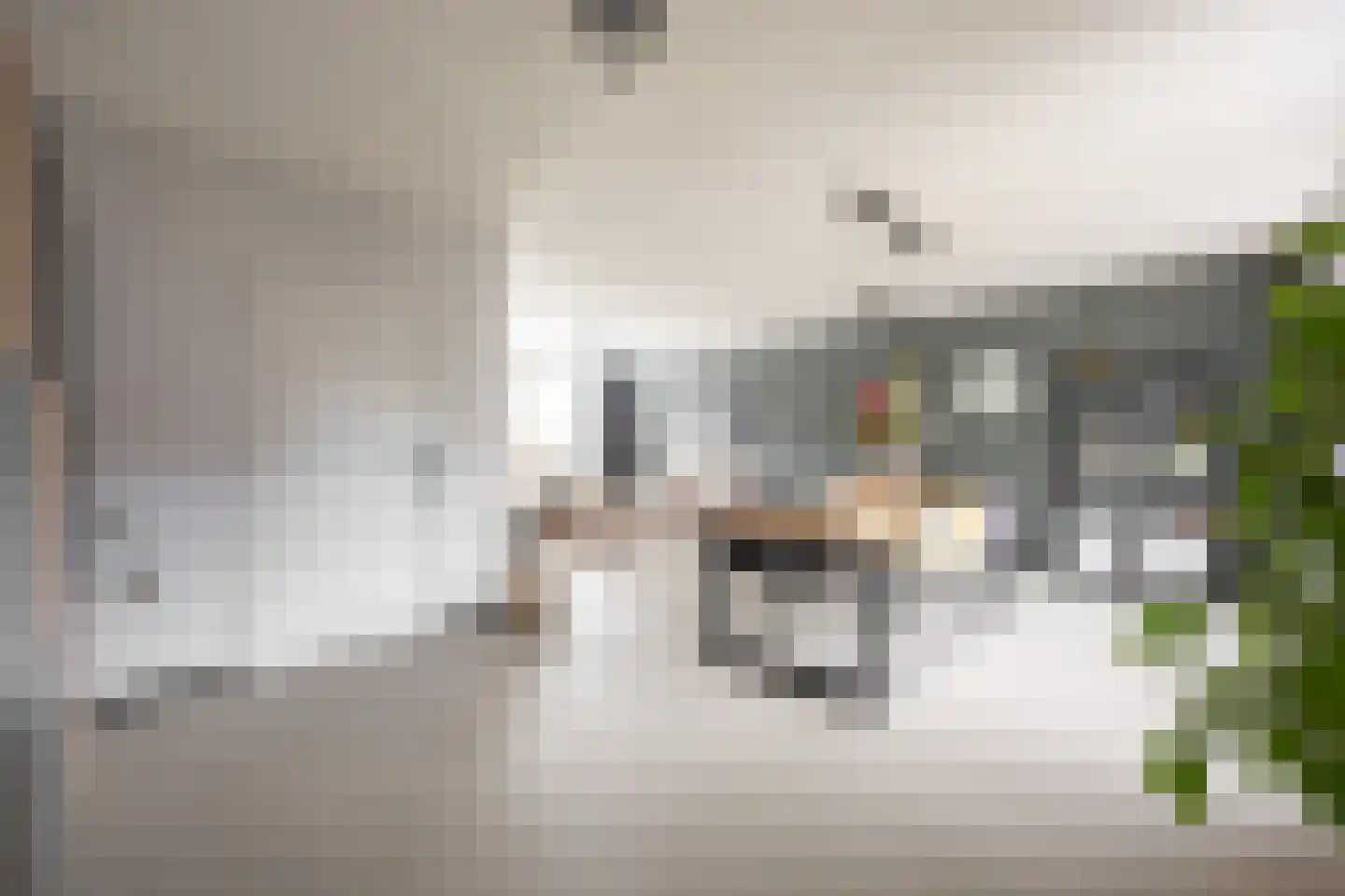 Haverterstraat 14 Koningsbosch thumbnail 8