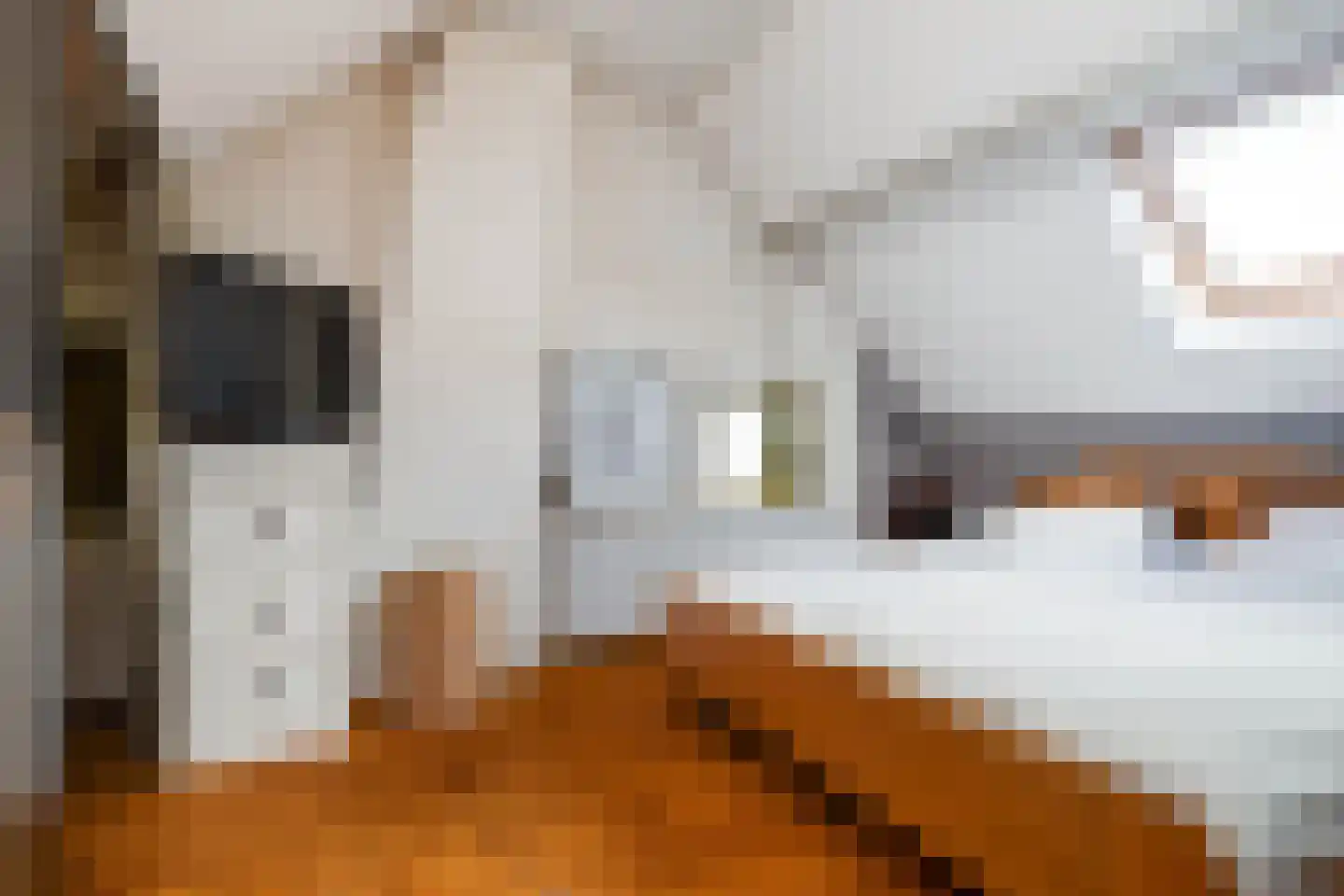 Haverterstraat 16 Nieuwstadt thumbnail 22