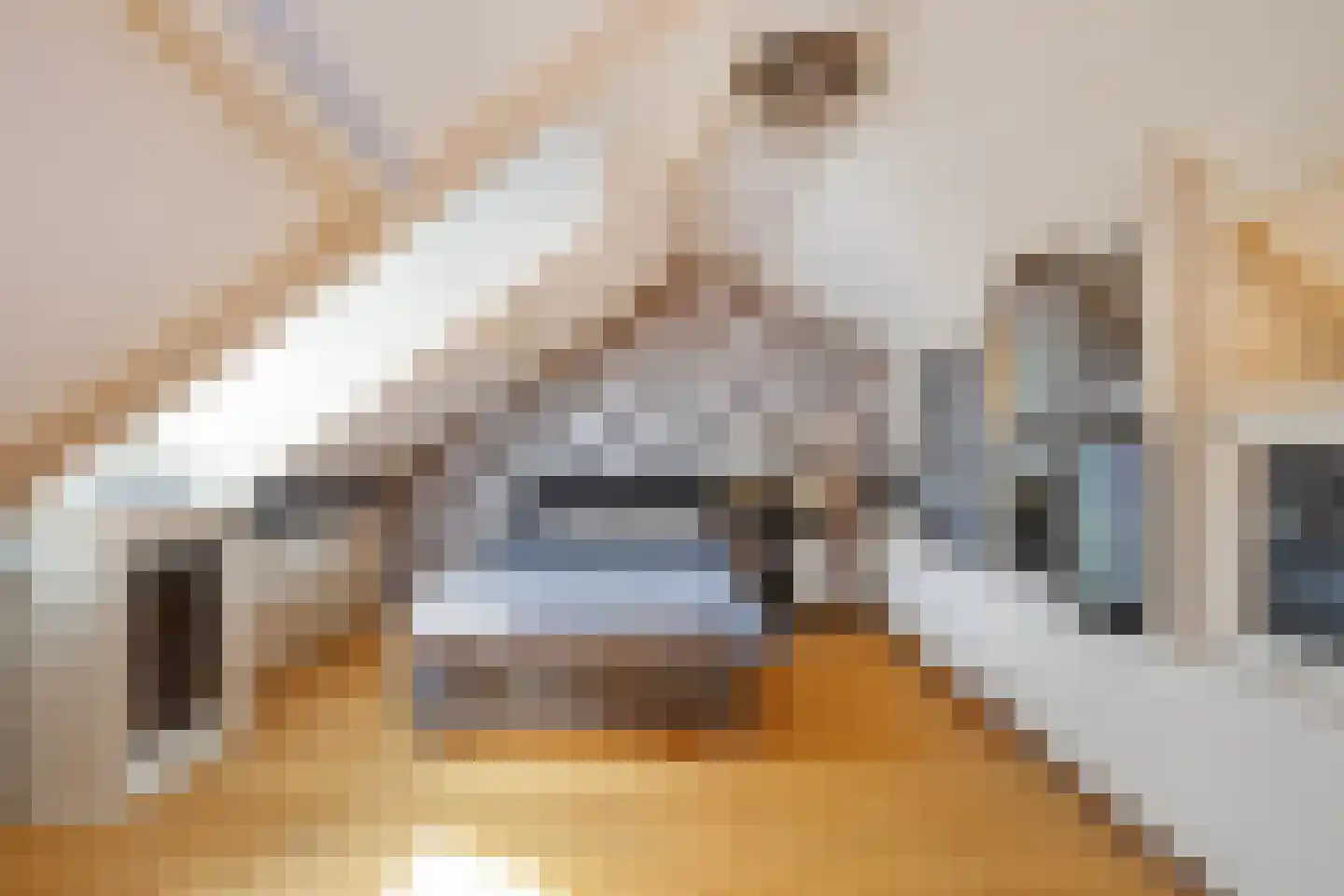 Haverterstraat 16 Nieuwstadt thumbnail 23