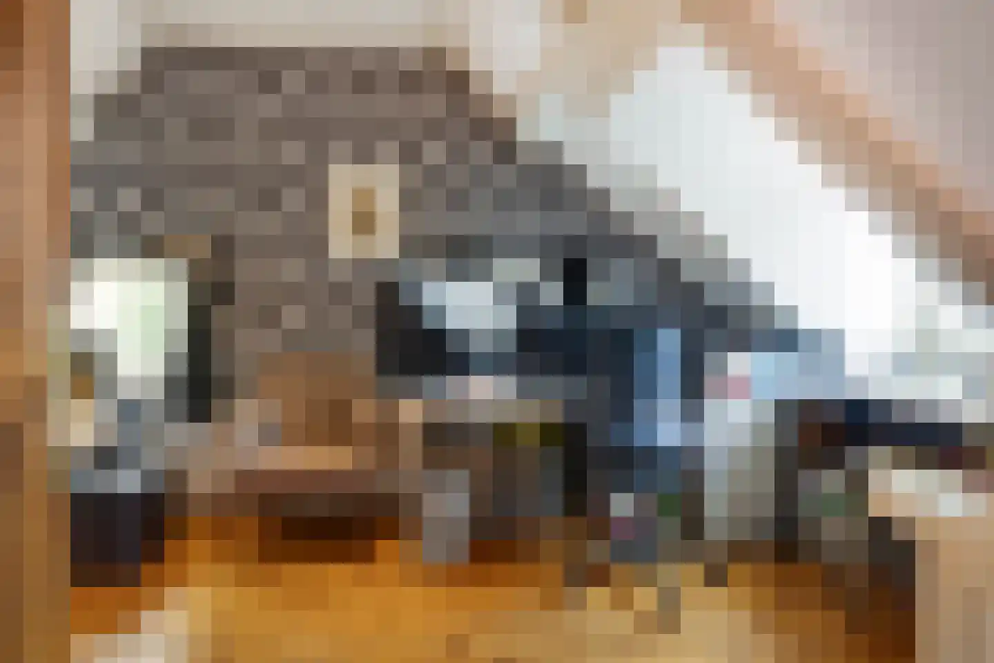 Haverterstraat 16 Nieuwstadt thumbnail 25