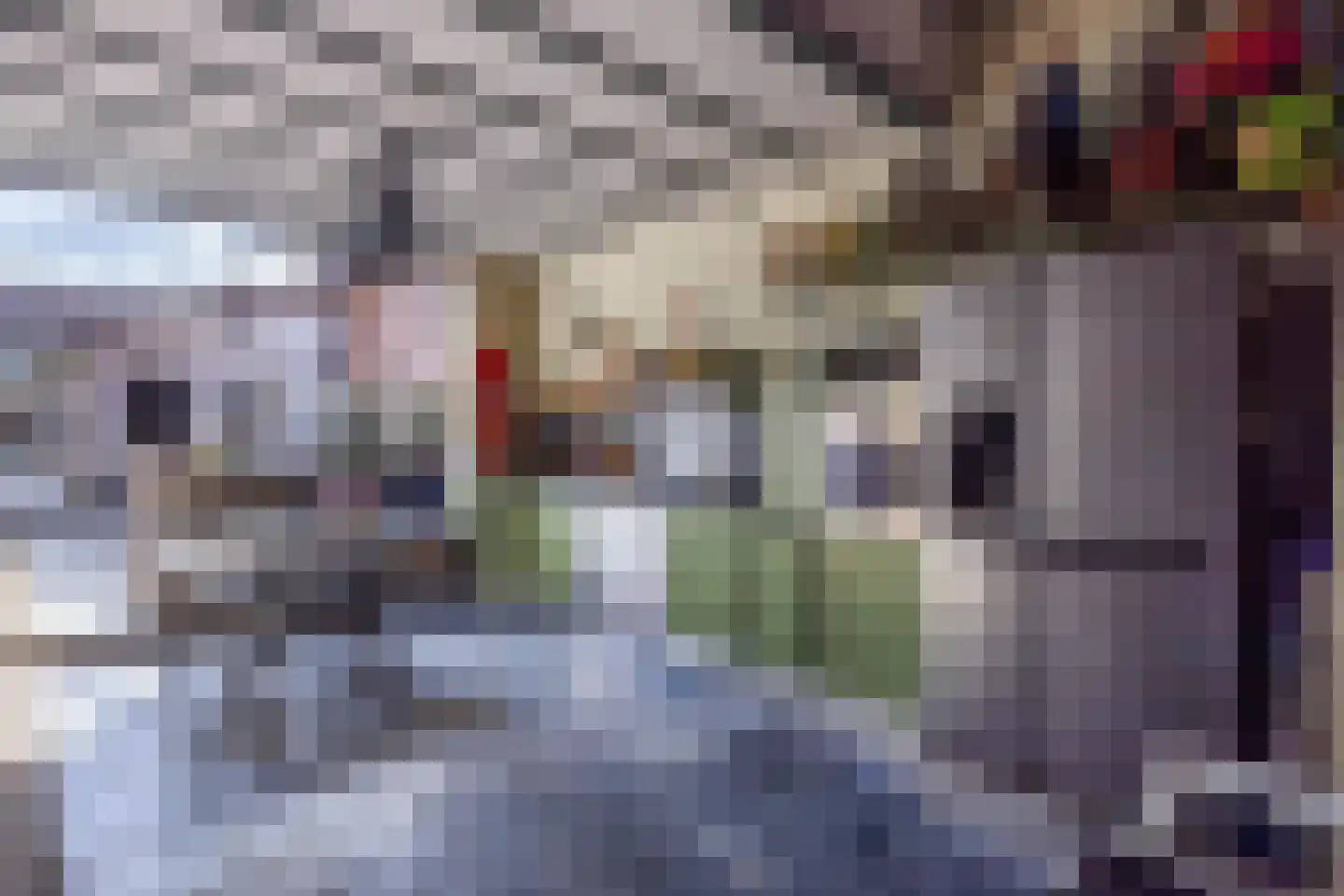 Haverterstraat 16 Nieuwstadt thumbnail 33