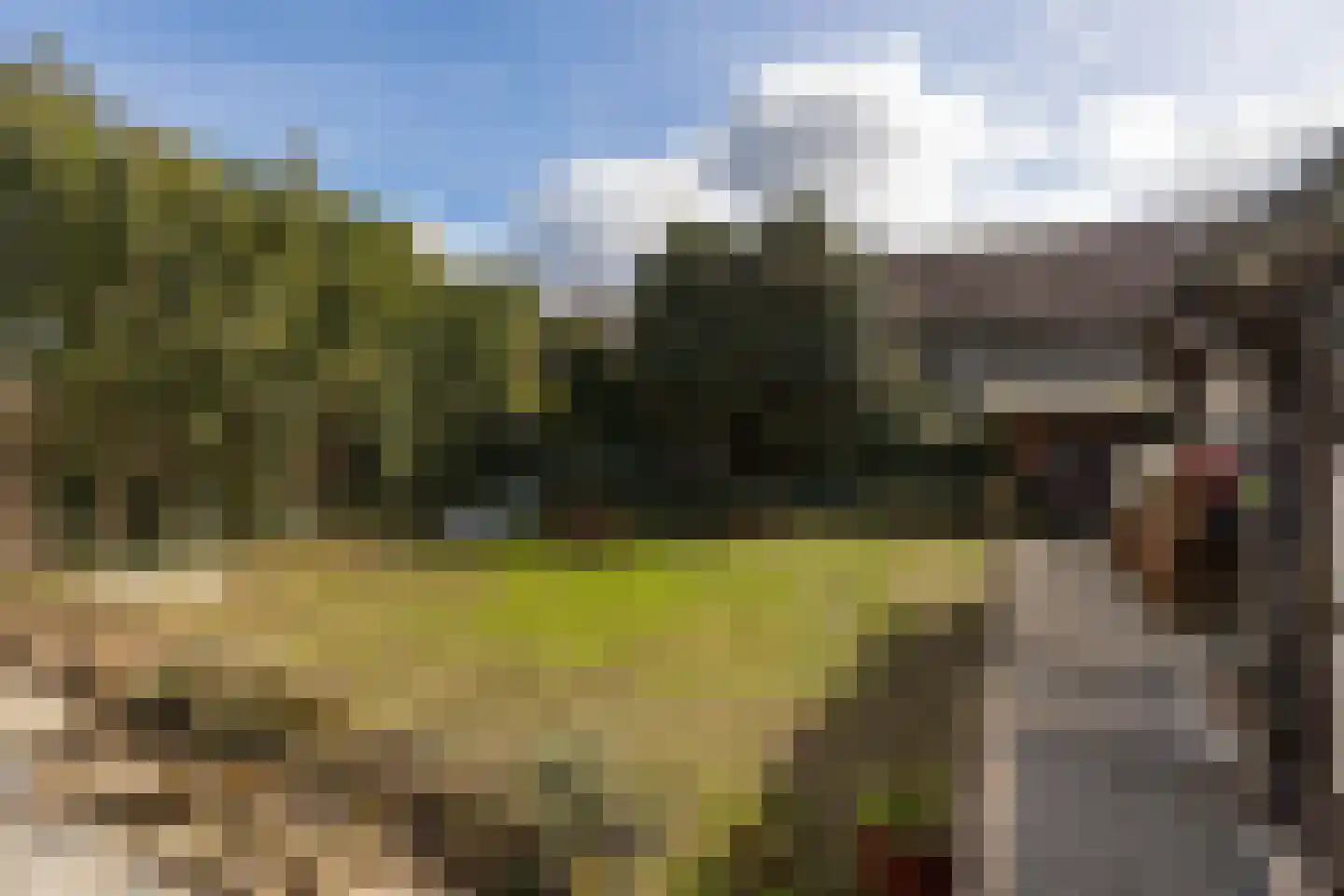 Haverterstraat 16 Nieuwstadt thumbnail 37